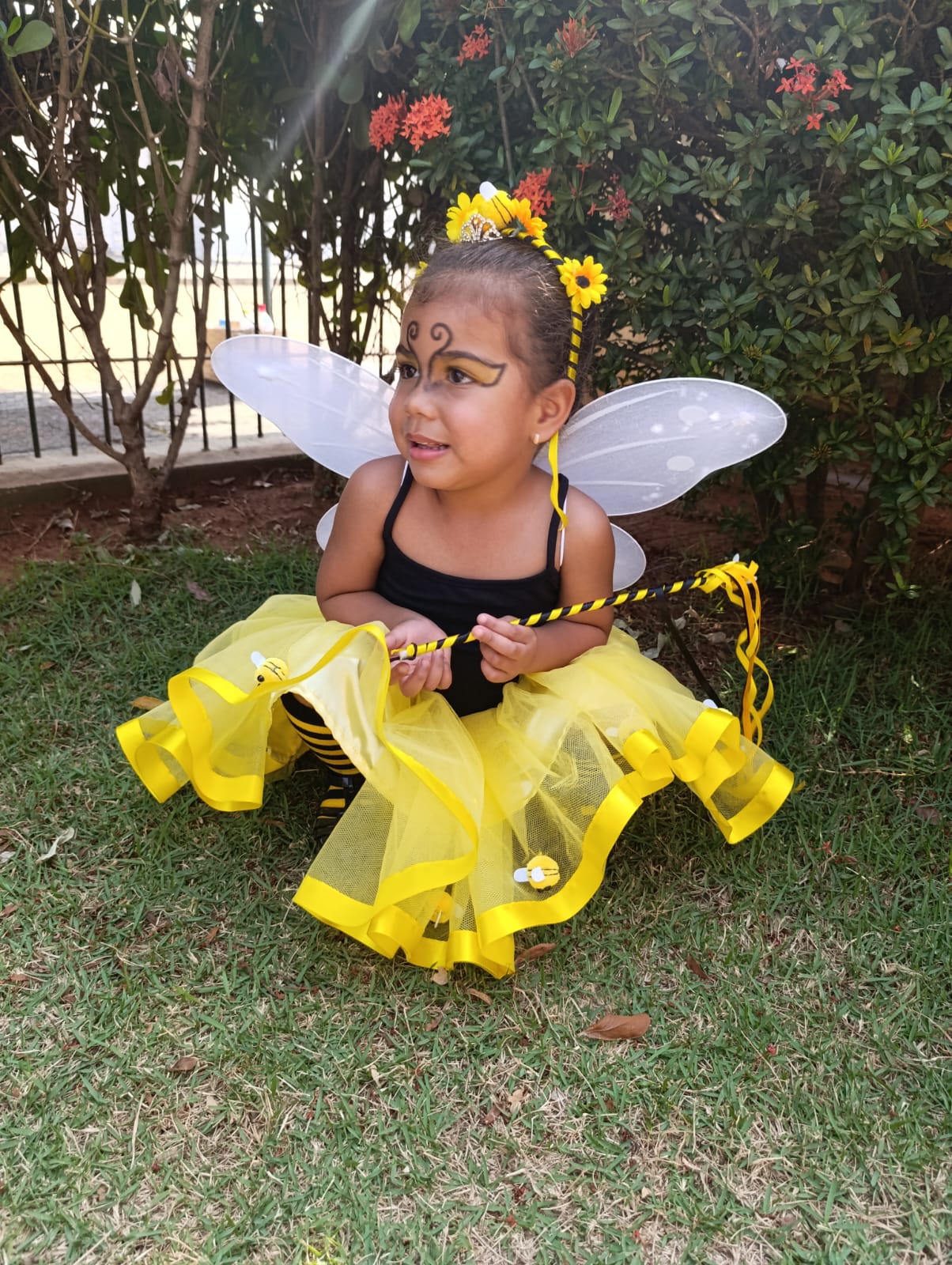 Imagem 187 - Recanto Sonho Encantado